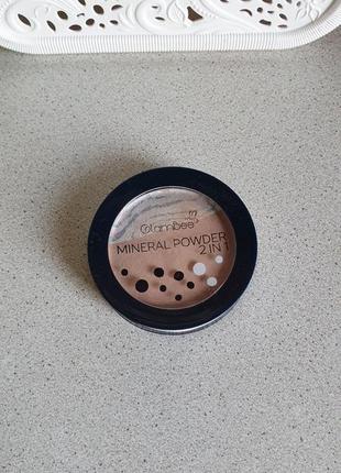 Glambee mineral powder 2 in 1 пудра для обличчя2 фото