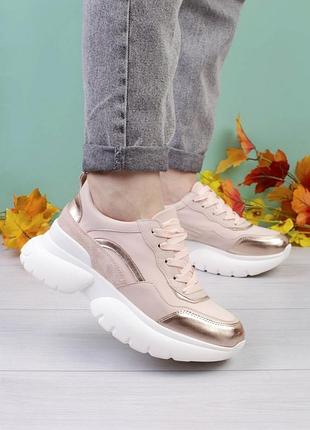 Стильные розовые пудра кроссовки на платформе массивные модные кроссы