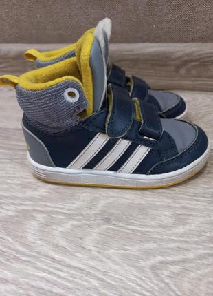 Хайтопи кеди adidas 217 фото