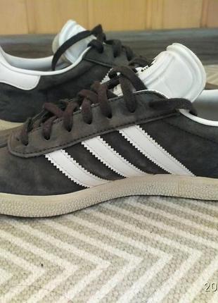 gazelle 37