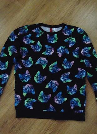 Світшот з принтом котики 12-14 років