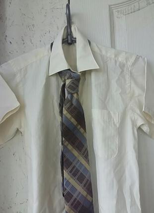 Школьная форма:пиджак,рубашка+галстук3 фото