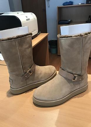 Уггі, р. 36 (сша)