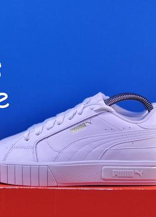 Puma cali star