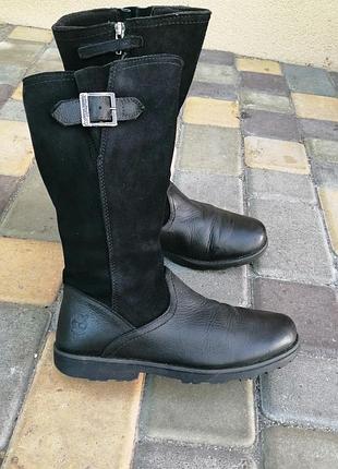 Сапоги timberland.