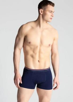 Труси шорти чоловічі gatta boxer modal2 фото