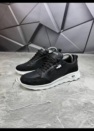 ▫️кросівки lacoste💯