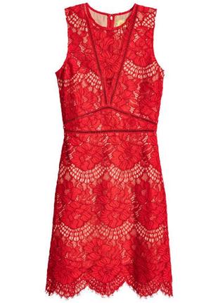 Кружевное красное платье h&m