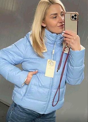 Демисезонная голубая куртка
