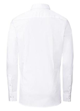 Рубашка однотонная хлопковая для мужчины nobel league lidl 342546 43,xl,54 белый2 фото