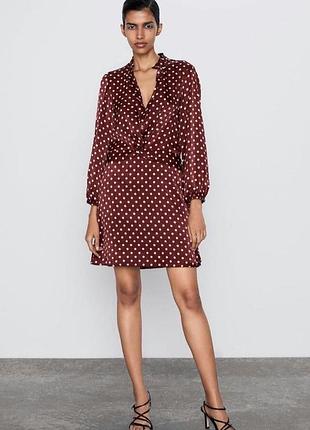 Zara сукня бордова в горох міні з рукавами