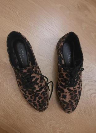 Туфли броги next с эффектом леопардового меха.