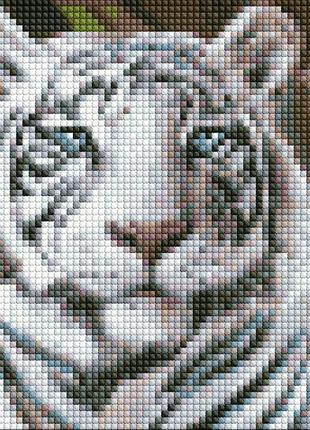 Алмазная мозаика без подрамника бенгальский тигр 20х20см, термопакет, тм идейка, украина
