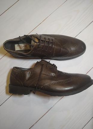 Кожаные мужские ботинки penguin