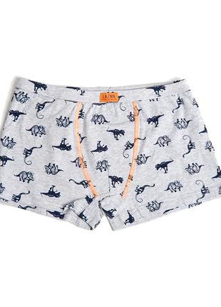 Трусы шортики для мальчика тм lama b 205 sz