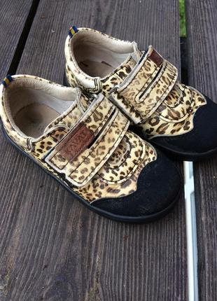 Шкіряні леопардові туфлі kavat