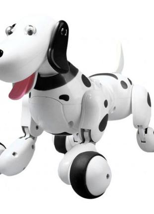 Інтерактивна robot собака smart pet dog happycow (чорний) hc-777-338b