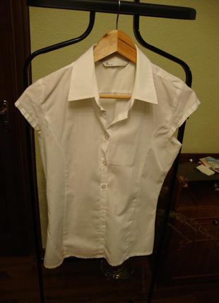 Белая офисная блуза bhs2 фото