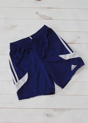 Шорти від adidas climalite є заміри