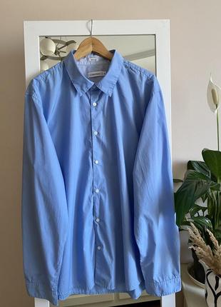 Сорочка блакитна оверсайз calvin klein