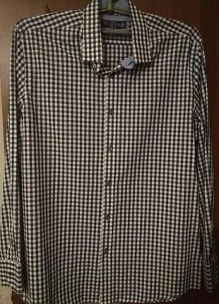 Мужская рубашка cavani