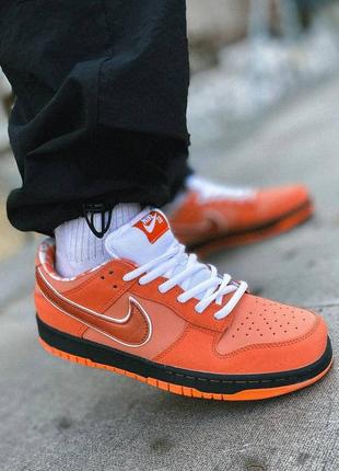 Кроссовки nike sb dunk low orange lobster, мужские кроссовки, найк данк лобстер8 фото