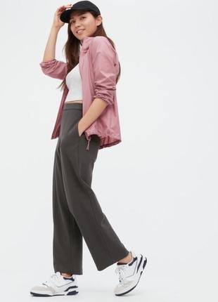 Брюки з плотного трикотажу сірі