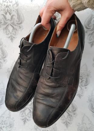 Туфлі шкіряні італійські brimestone 461 фото