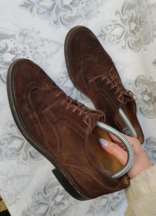 Добротні замшеві туфлі черевики броги оксфорди tod's4 фото