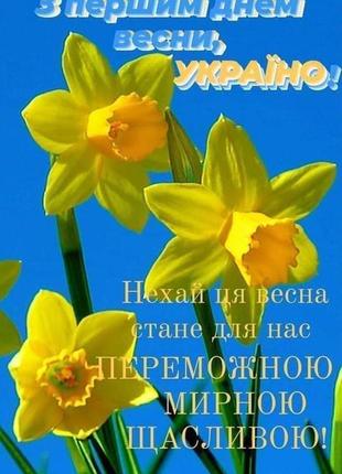 Спідниця пліссе 42-52 р.🏩🚩🗺 10