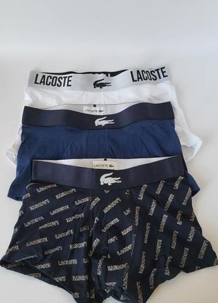 Чоловічі труси lacoste оригінали1 фото