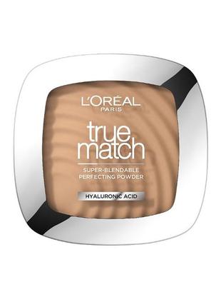 L`oreal paris true match super blendable powder пудра компактна 2.n vanille