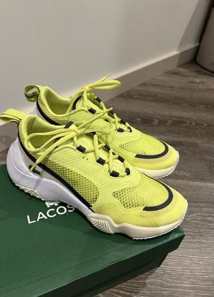 Кросівки кроссовки  кеди  lacoste 20234253319