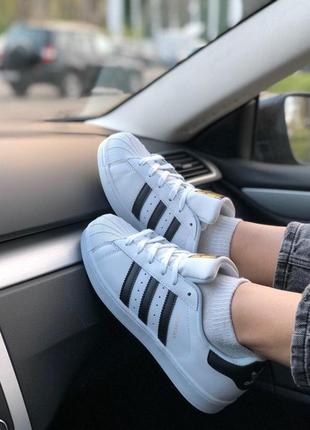 Мужские кроссовки adidas superstar