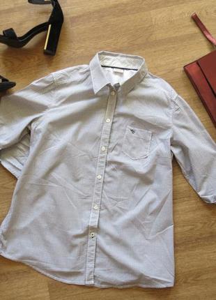 Біла сорочка в дрібну клітку