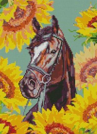 Алмазна мозаїка "кінь у соняшниках" 30х40 см від imdi
