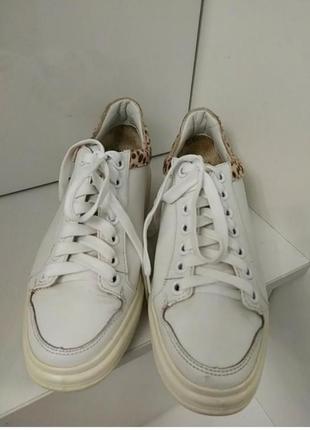 Білі фірмові кеди від зара