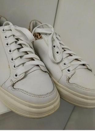 Білі фірмові кеди від зара