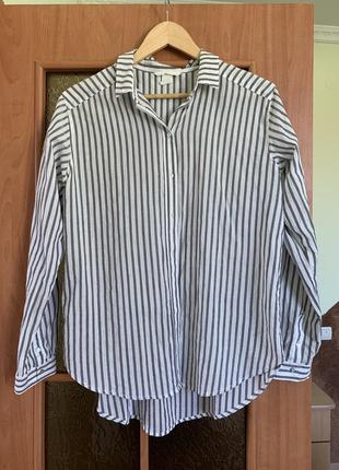 Рубашка в полоску h&m