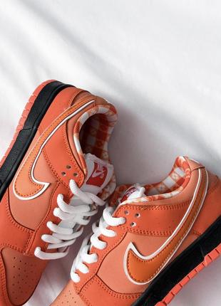 Nк sb dunk low concepts x orange lobster5 фото