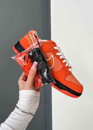 Nк sb dunk low concepts x orange lobster9 фото