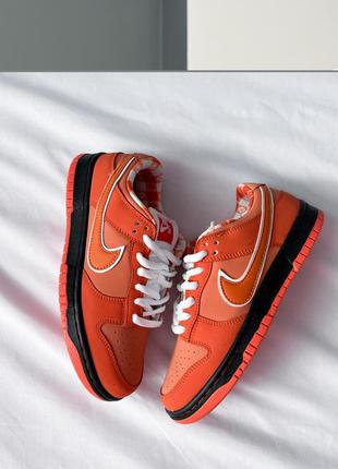 Nк sb dunk low concepts x orange lobster4 фото