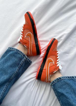 Nк sb dunk low concepts x orange lobster10 фото