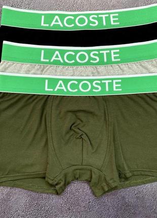 Трусы lacoste. набор мужских трусов 3 штуки