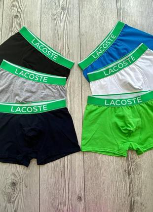 Подарочный комплект мужских трусов-боксеров lacoste из хлопка, 3 шт7 фото