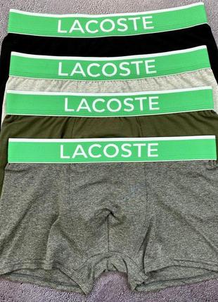 Трусы lacoste. набор мужских трусов 4 штуки