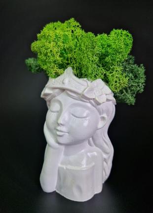Кашпо принцесса стабилизированный зеленый мох подарок к 8 марта декор мох в кашпо2 фото