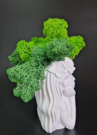 Кашпо принцеса стабілізований зелений мох подарунок до 8 березня декор мох в кашпо8 фото