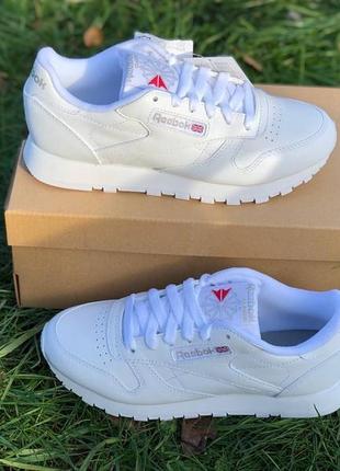 Кросівки reebok classic leather 22324 фото