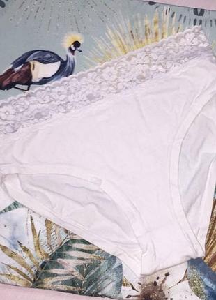Бавовняні трусики body wear